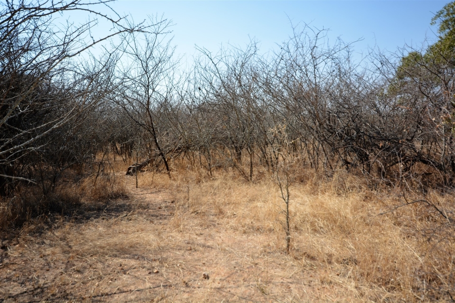 0 Bedroom Property for Sale in Moditlo Wildlife Estate Limpopo