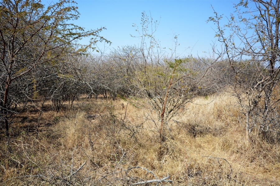 0 Bedroom Property for Sale in Moditlo Wildlife Estate Limpopo