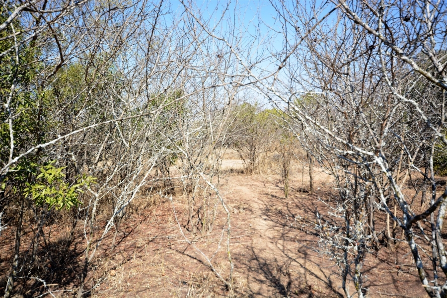 0 Bedroom Property for Sale in Moditlo Wildlife Estate Limpopo