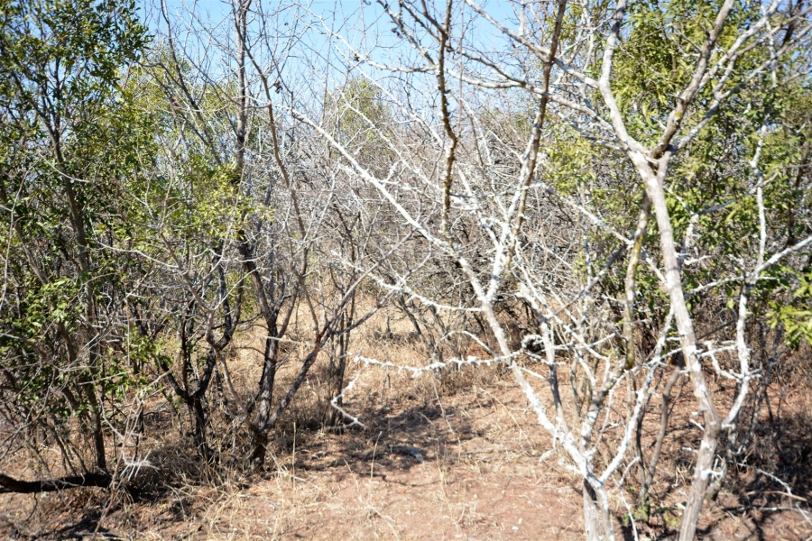 0 Bedroom Property for Sale in Moditlo Wildlife Estate Limpopo