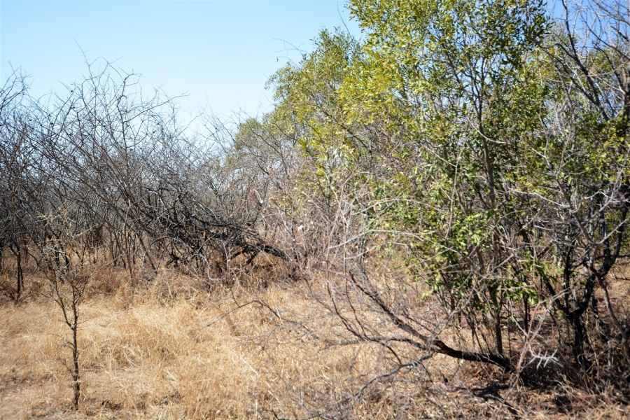 0 Bedroom Property for Sale in Moditlo Wildlife Estate Limpopo