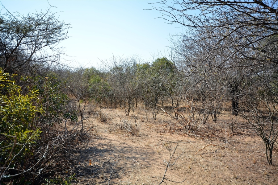 0 Bedroom Property for Sale in Moditlo Wildlife Estate Limpopo