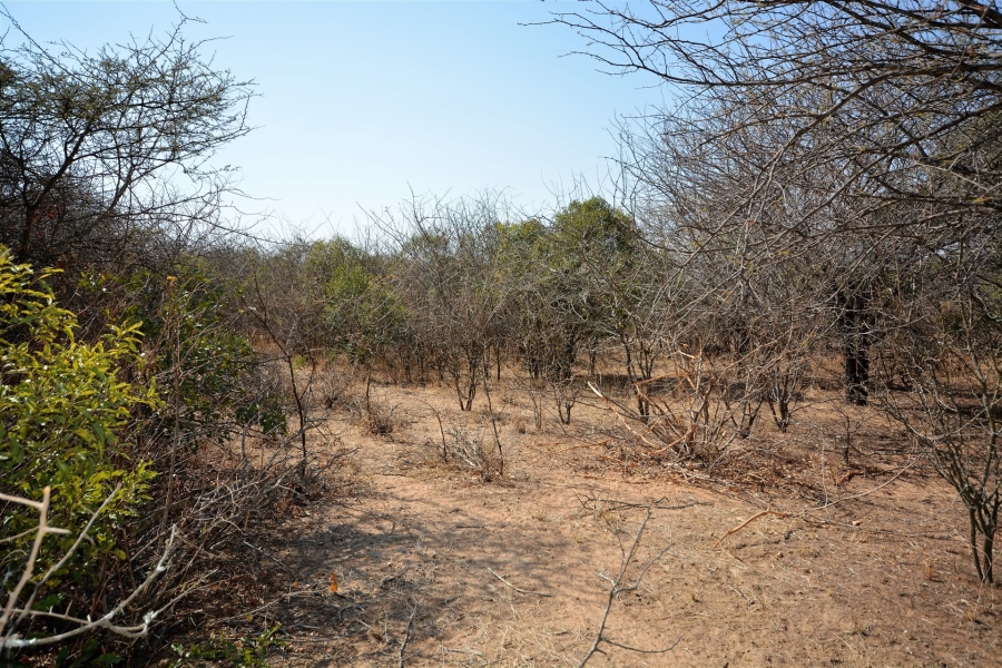 0 Bedroom Property for Sale in Moditlo Wildlife Estate Limpopo