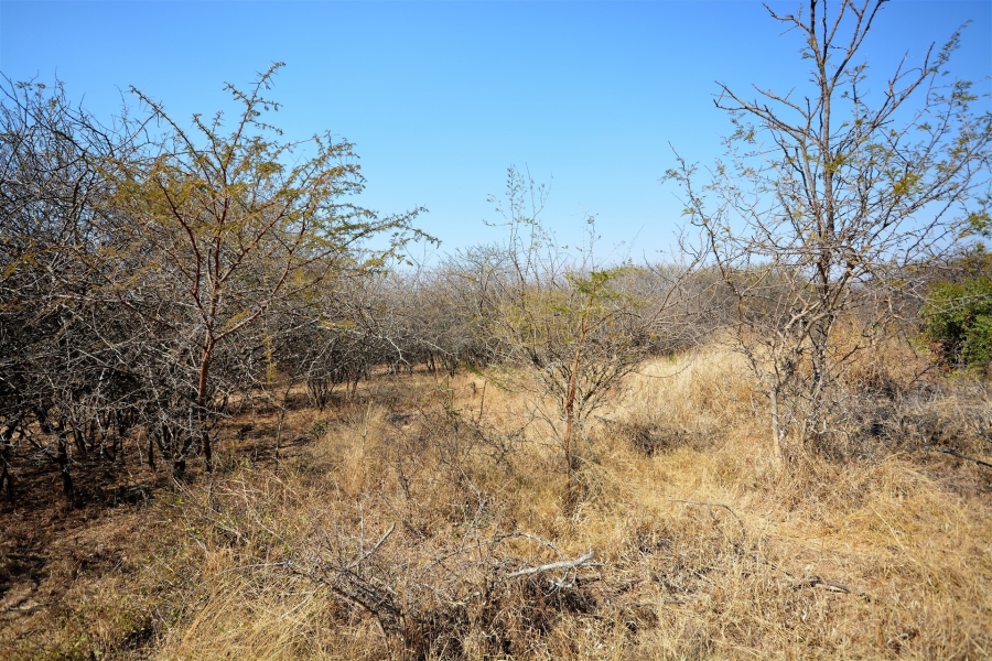 0 Bedroom Property for Sale in Moditlo Wildlife Estate Limpopo