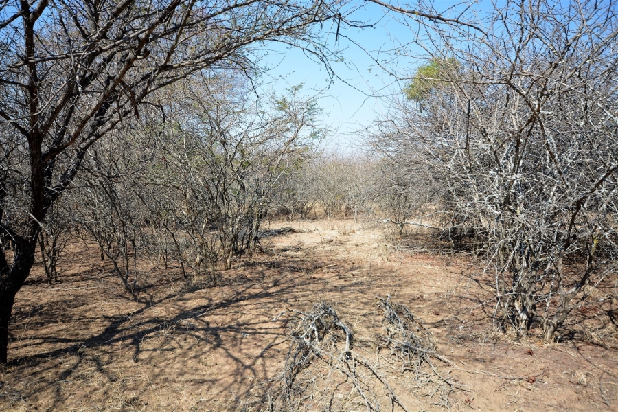 0 Bedroom Property for Sale in Moditlo Wildlife Estate Limpopo