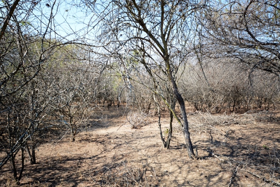 0 Bedroom Property for Sale in Moditlo Wildlife Estate Limpopo