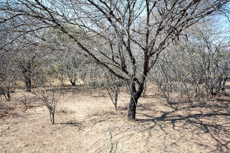 0 Bedroom Property for Sale in Moditlo Wildlife Estate Limpopo