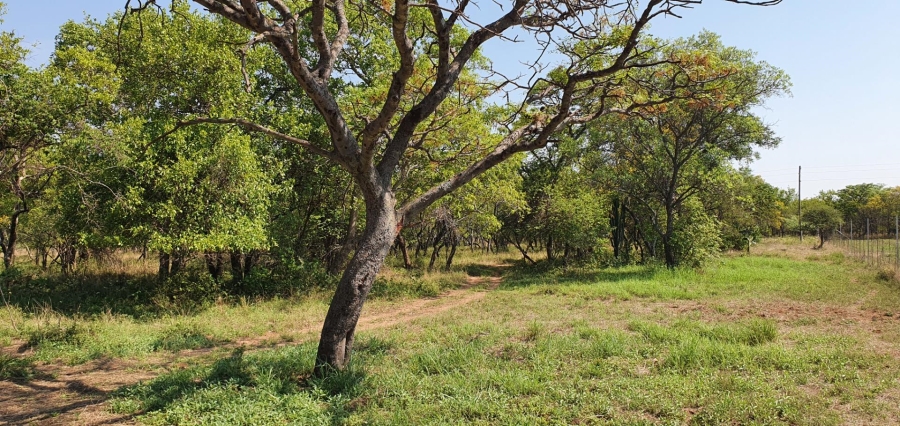 3 Bedroom Property for Sale in Mookgopong Limpopo
