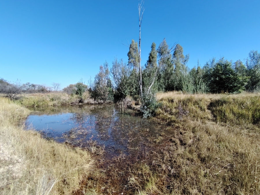 3 Bedroom Property for Sale in Vaalwater Limpopo