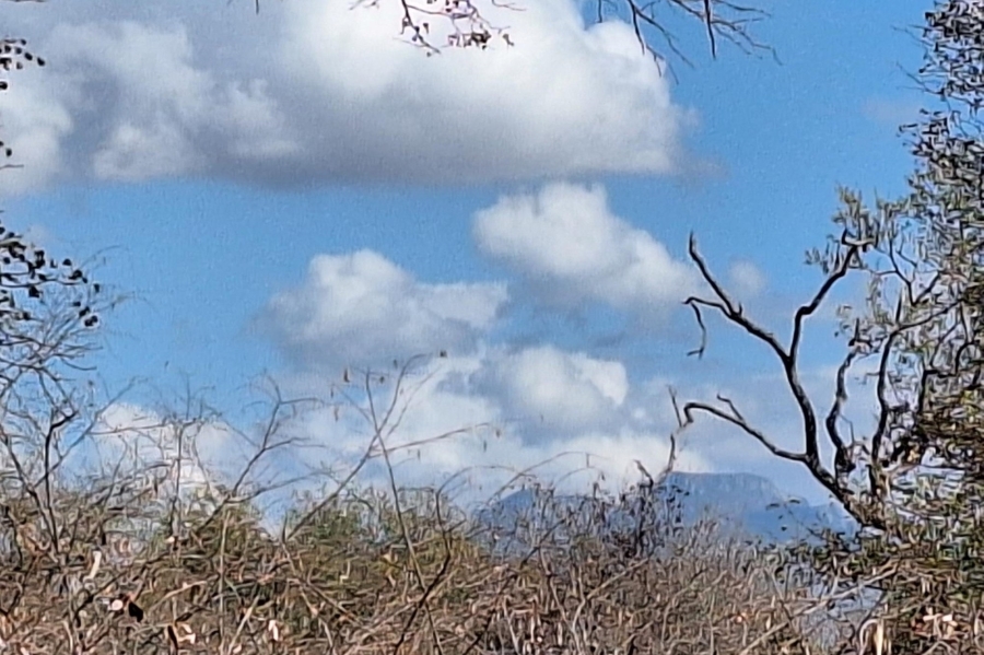 0 Bedroom Property for Sale in Raptors View Wildlife Estate Limpopo