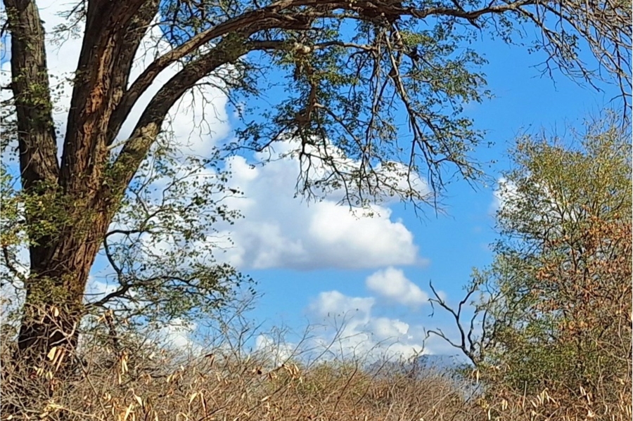 0 Bedroom Property for Sale in Raptors View Wildlife Estate Limpopo