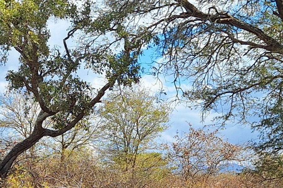 0 Bedroom Property for Sale in Raptors View Wildlife Estate Limpopo