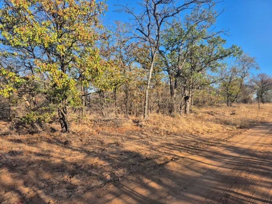 0 Bedroom Property for Sale in Phalaborwa Limpopo