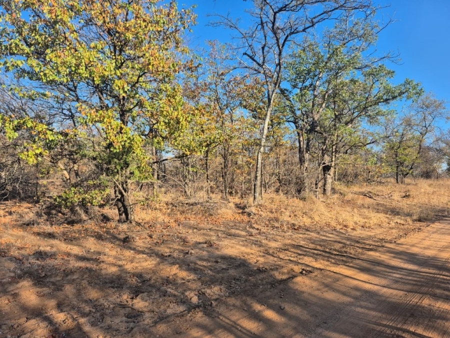 0 Bedroom Property for Sale in Phalaborwa Limpopo