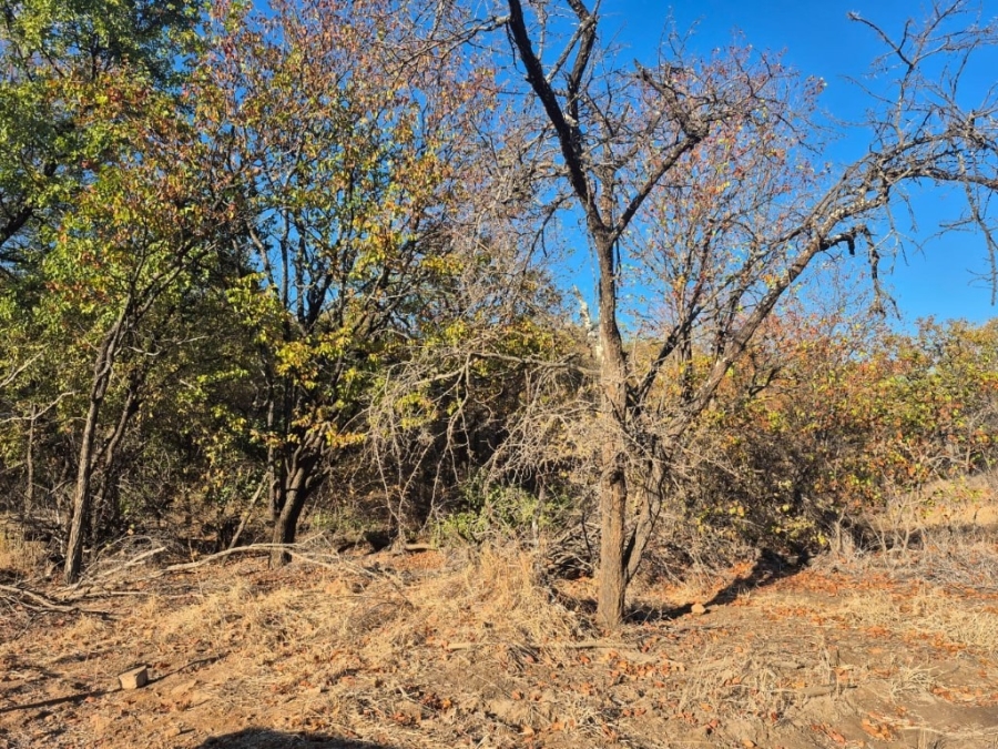 0 Bedroom Property for Sale in Phalaborwa Limpopo