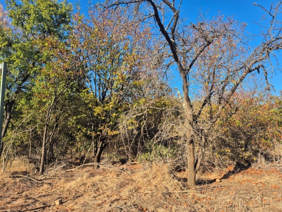 0 Bedroom Property for Sale in Phalaborwa Limpopo