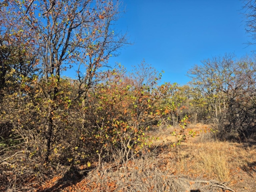 0 Bedroom Property for Sale in Phalaborwa Limpopo