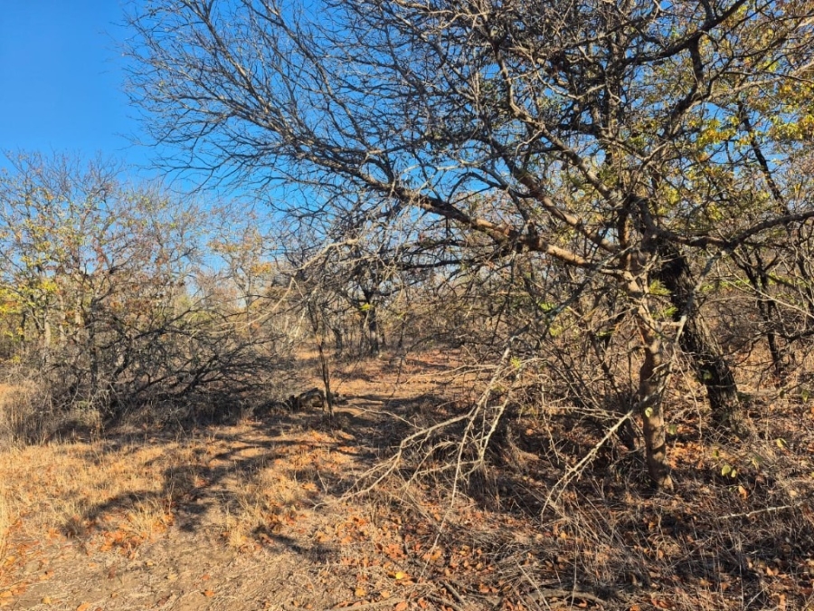 0 Bedroom Property for Sale in Phalaborwa Limpopo