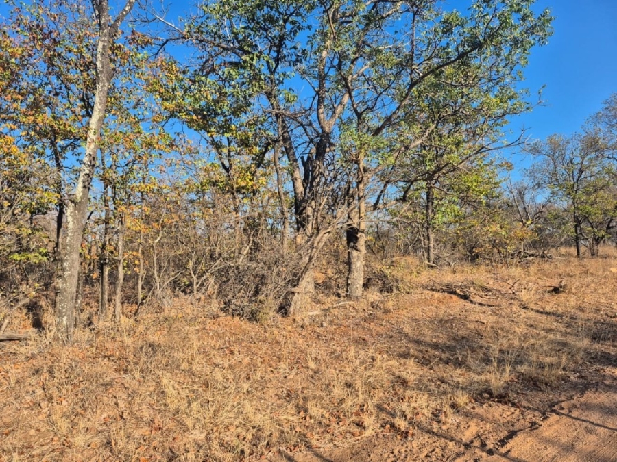 0 Bedroom Property for Sale in Phalaborwa Limpopo