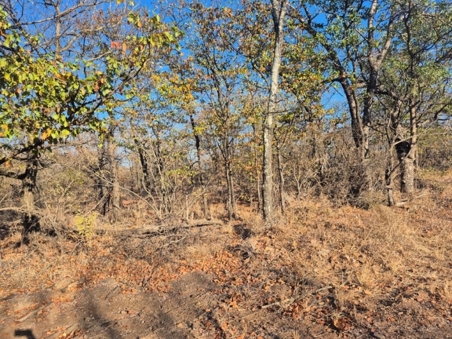 0 Bedroom Property for Sale in Phalaborwa Limpopo