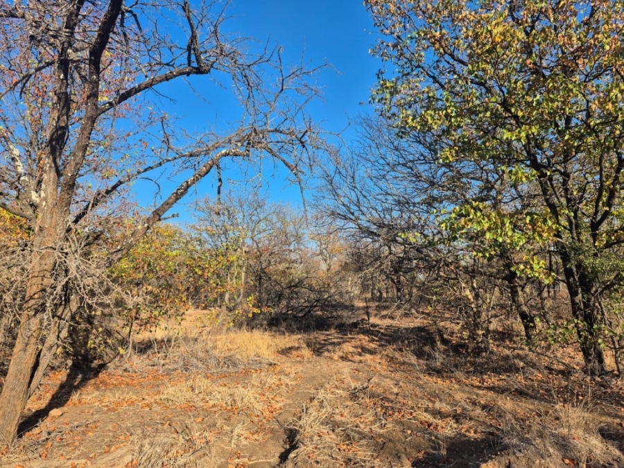 0 Bedroom Property for Sale in Phalaborwa Limpopo