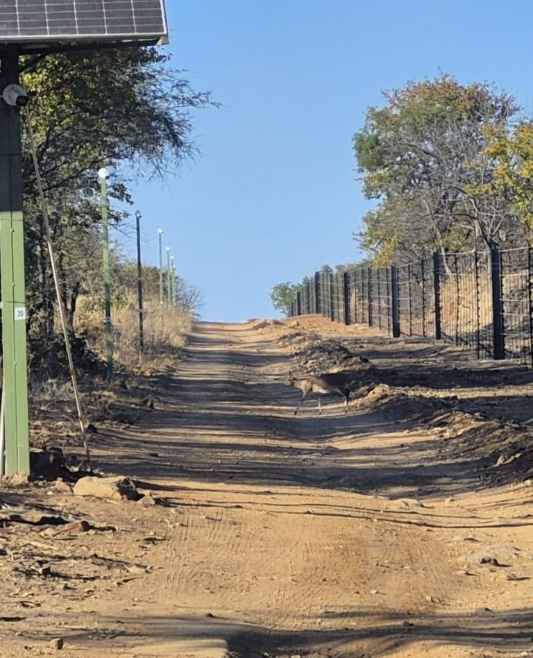 0 Bedroom Property for Sale in Phalaborwa Limpopo