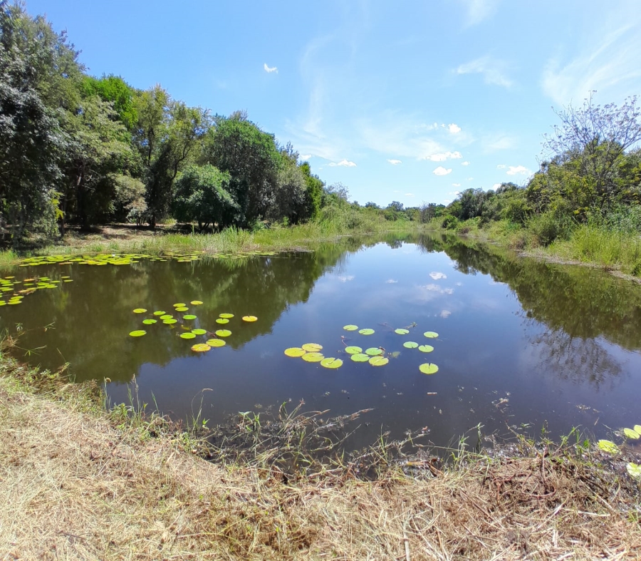 3 Bedroom Property for Sale in Tzaneen Rural Limpopo