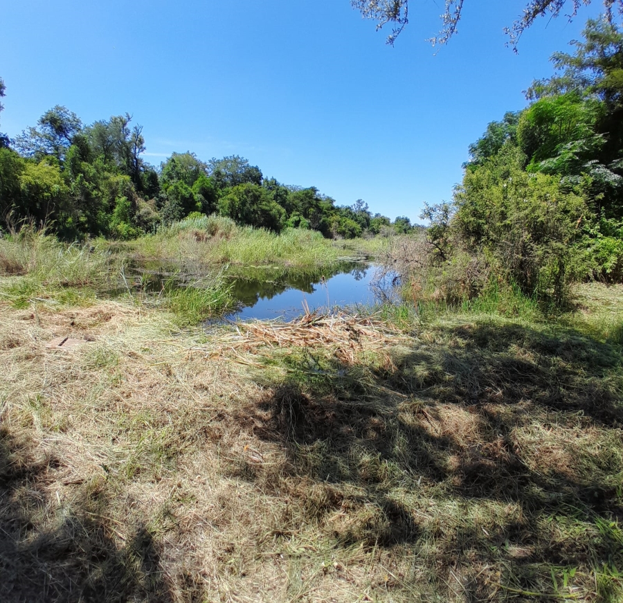 3 Bedroom Property for Sale in Tzaneen Rural Limpopo