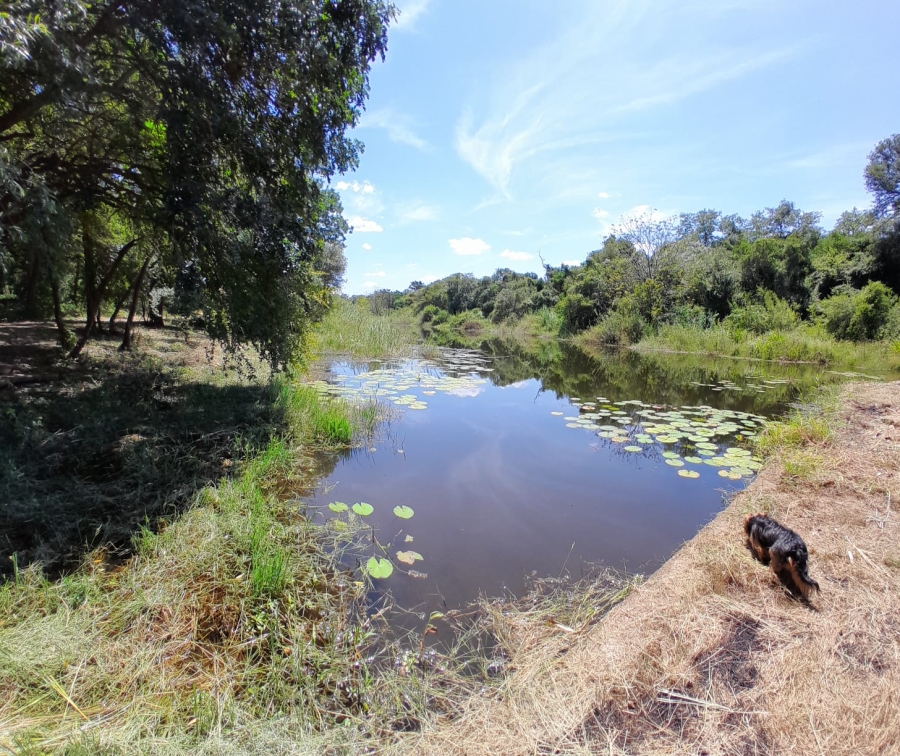 3 Bedroom Property for Sale in Tzaneen Rural Limpopo