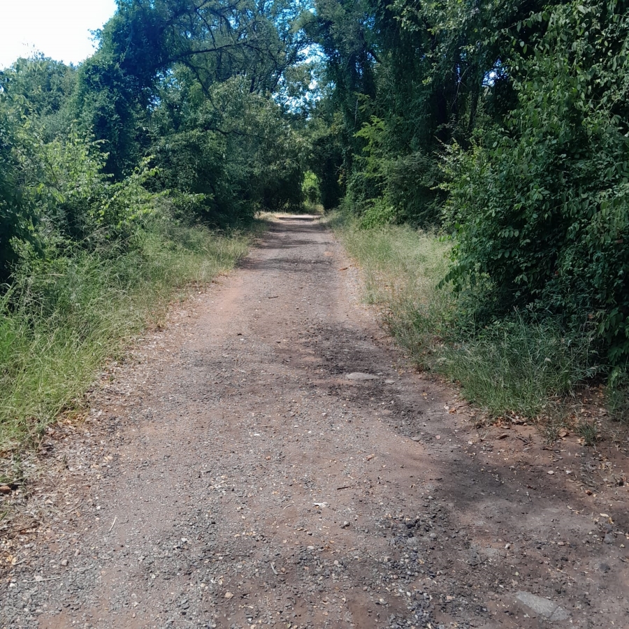 3 Bedroom Property for Sale in Tzaneen Rural Limpopo