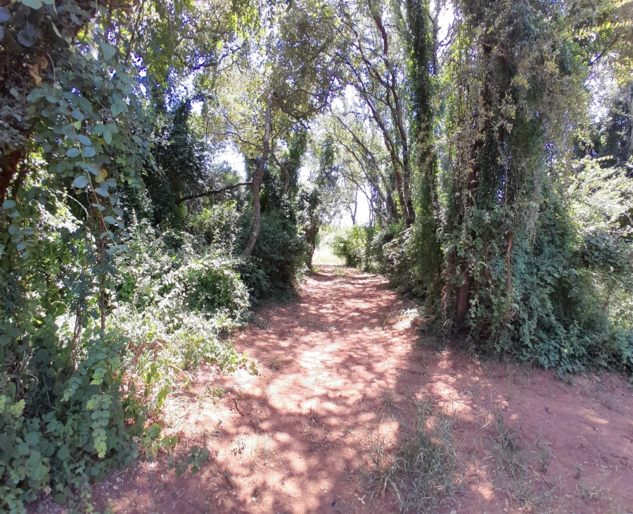 3 Bedroom Property for Sale in Tzaneen Rural Limpopo