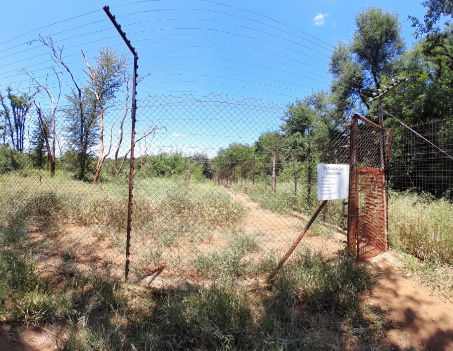 3 Bedroom Property for Sale in Tzaneen Rural Limpopo