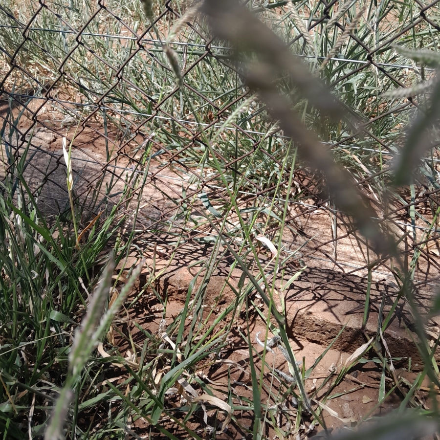 3 Bedroom Property for Sale in Tzaneen Rural Limpopo
