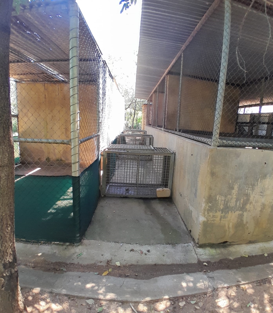 3 Bedroom Property for Sale in Tzaneen Rural Limpopo