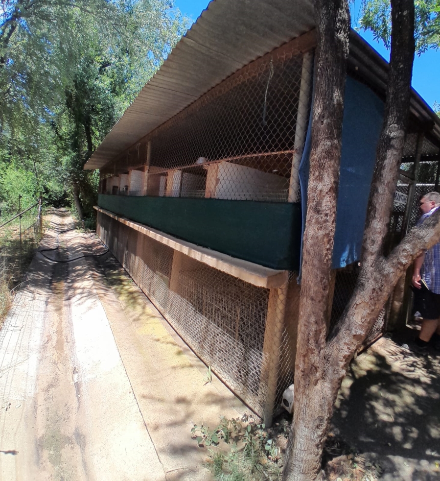 3 Bedroom Property for Sale in Tzaneen Rural Limpopo