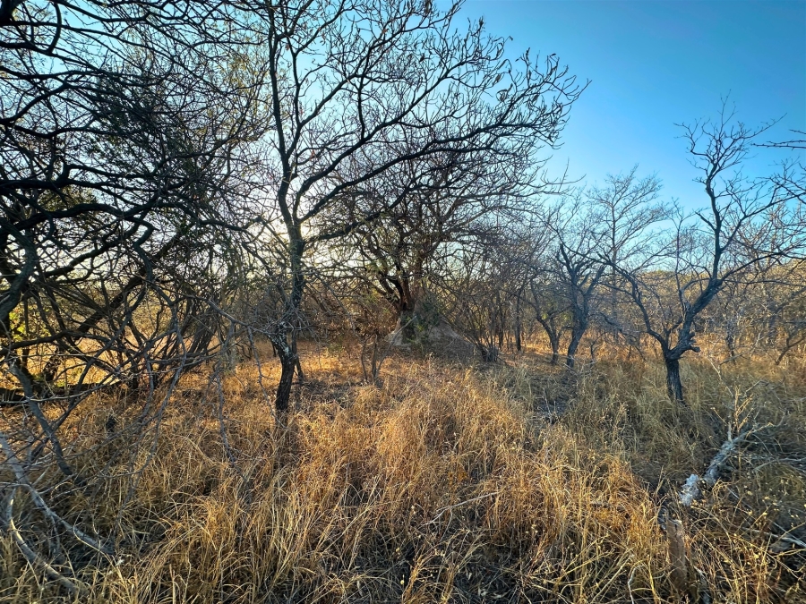 0 Bedroom Property for Sale in Kampersrus Limpopo