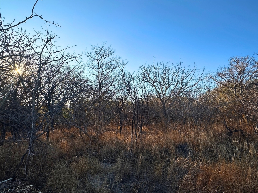 0 Bedroom Property for Sale in Kampersrus Limpopo