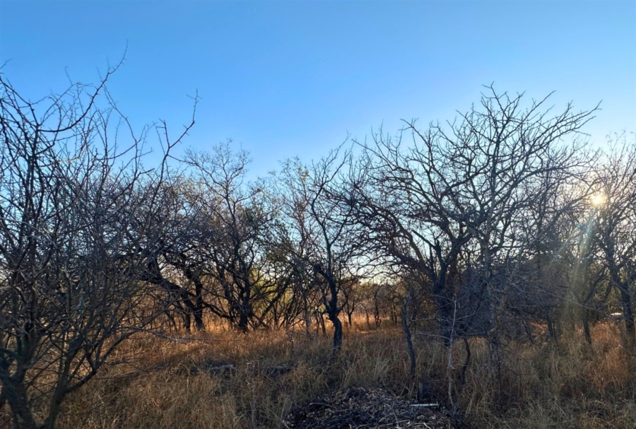 0 Bedroom Property for Sale in Kampersrus Limpopo