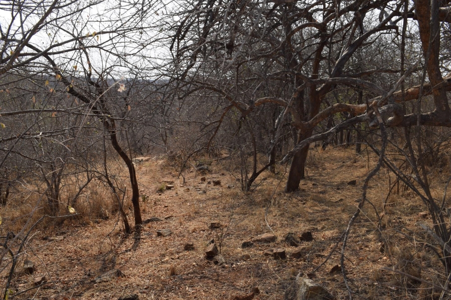 0 Bedroom Property for Sale in Elephant Rock Eco Estate Limpopo
