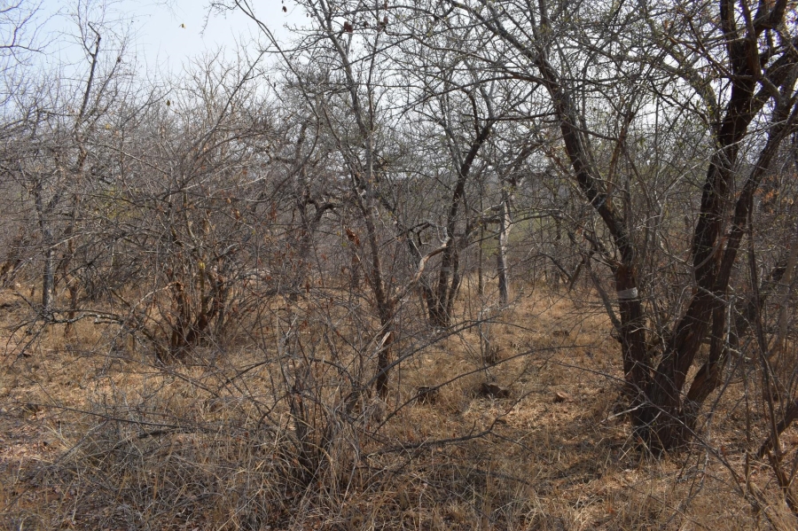 0 Bedroom Property for Sale in Elephant Rock Eco Estate Limpopo