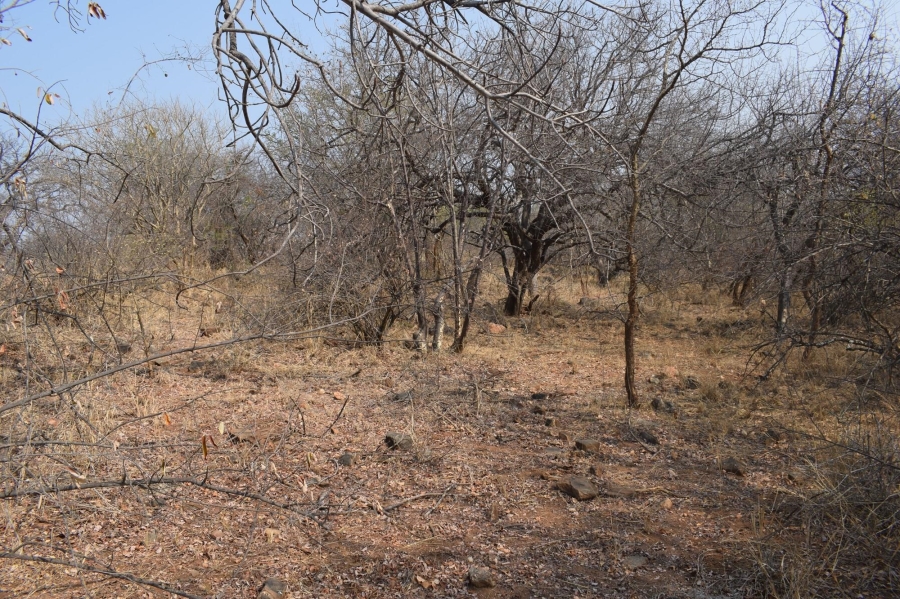 0 Bedroom Property for Sale in Elephant Rock Eco Estate Limpopo