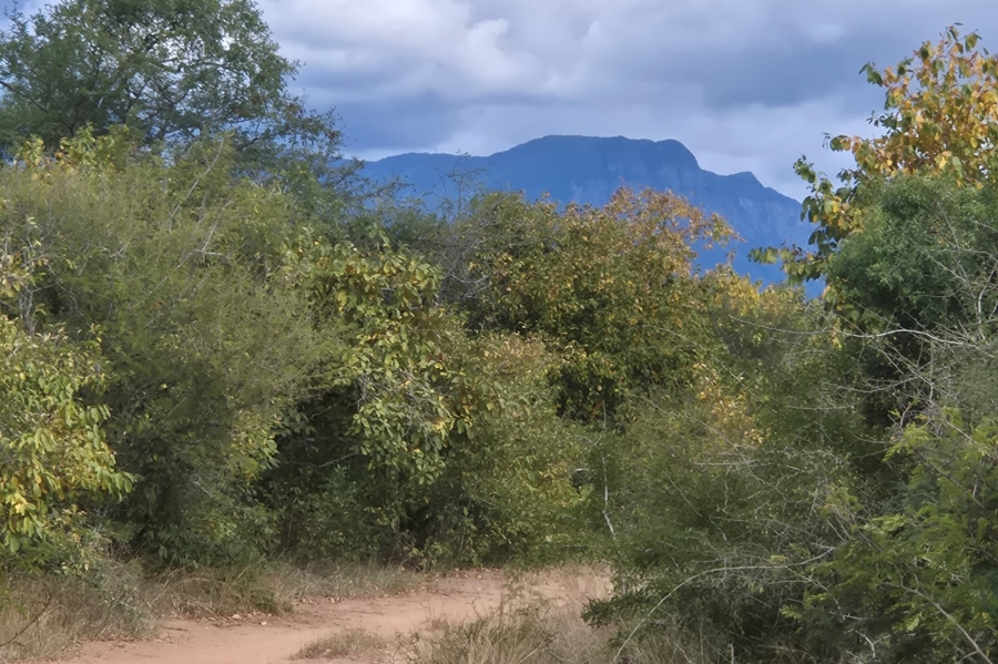 0 Bedroom Property for Sale in Moditlo Wildlife Estate Limpopo