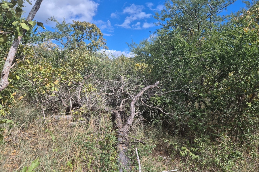 0 Bedroom Property for Sale in Moditlo Wildlife Estate Limpopo