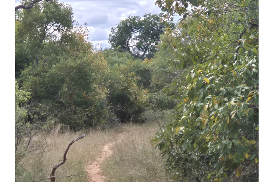0 Bedroom Property for Sale in Moditlo Wildlife Estate Limpopo