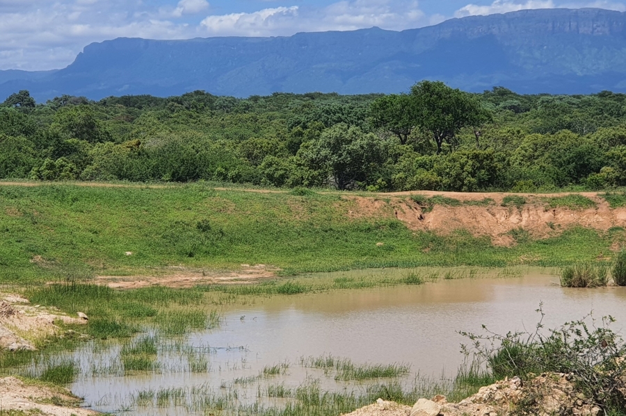 0 Bedroom Property for Sale in Moditlo Wildlife Estate Limpopo