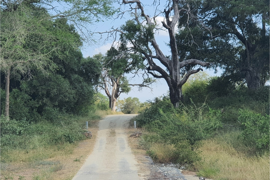 0 Bedroom Property for Sale in Moditlo Wildlife Estate Limpopo