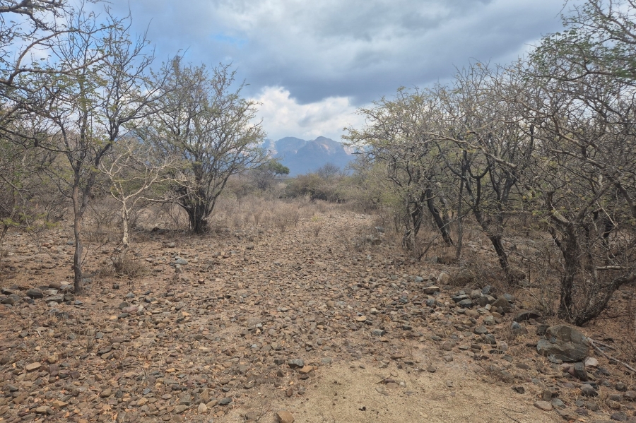 0 Bedroom Property for Sale in Blyde Wildlife Estate Limpopo