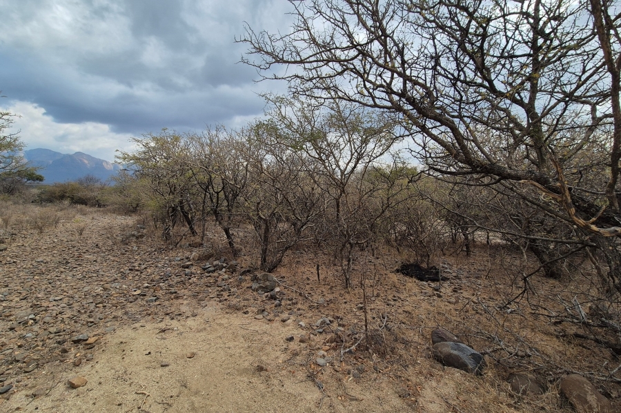0 Bedroom Property for Sale in Blyde Wildlife Estate Limpopo