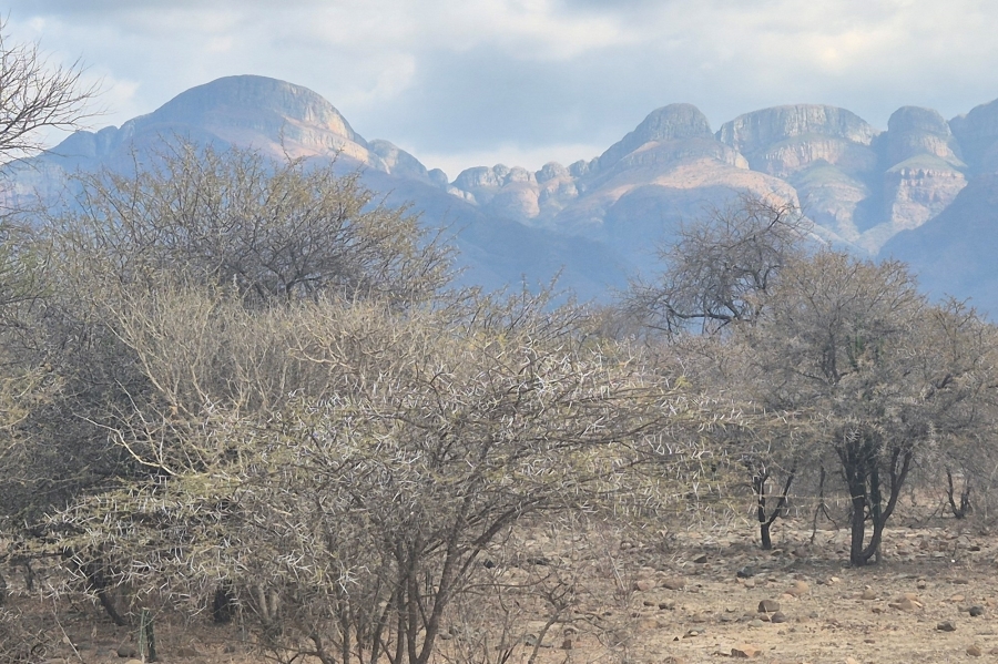 0 Bedroom Property for Sale in Blyde Wildlife Estate Limpopo