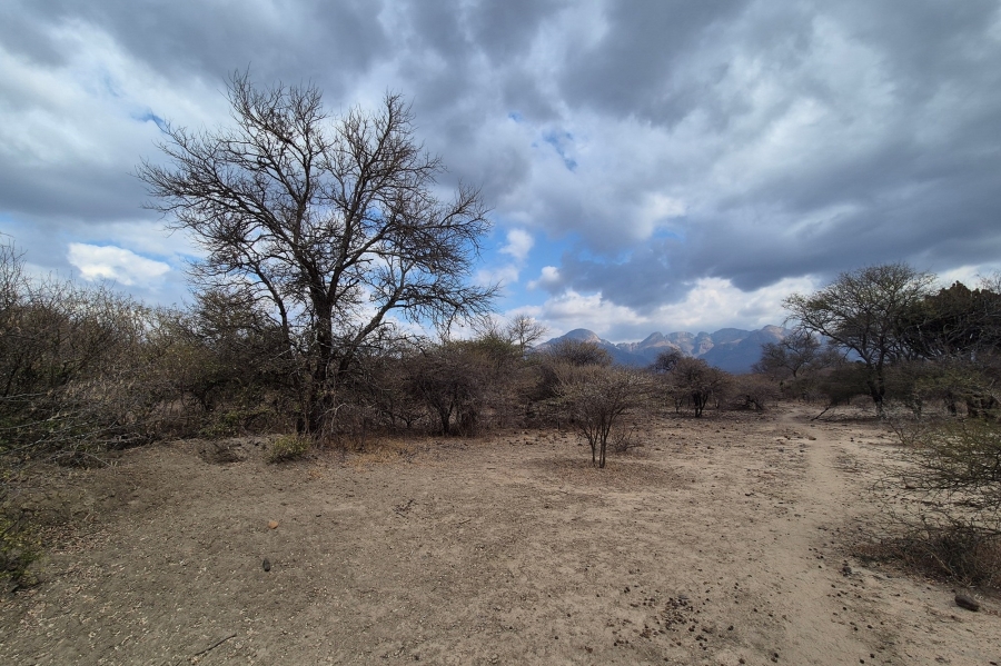 0 Bedroom Property for Sale in Blyde Wildlife Estate Limpopo